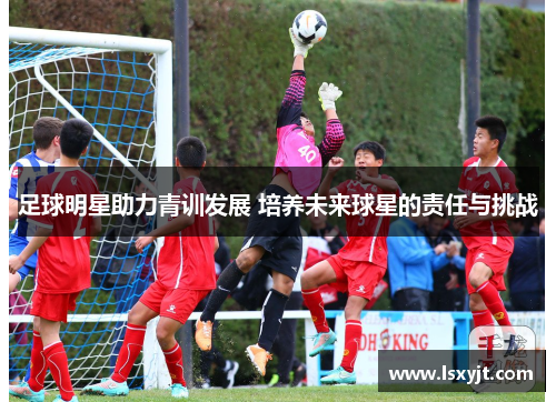 足球明星助力青训发展 培养未来球星的责任与挑战 足球明星助力青训发展 培养未来球星的责任与挑战